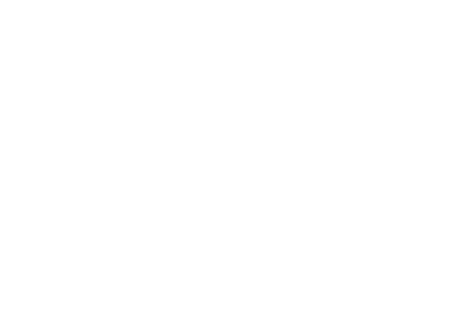 SS CARES